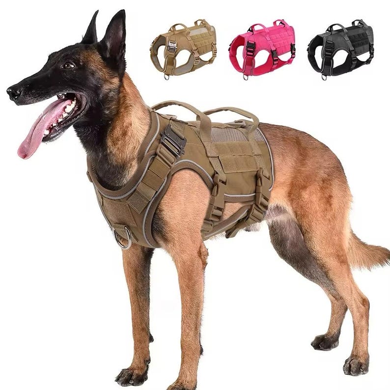 Personalized Reflective Tactical Vest  | Custom Name Chest Strap for Medium Large Dogs | Personalize