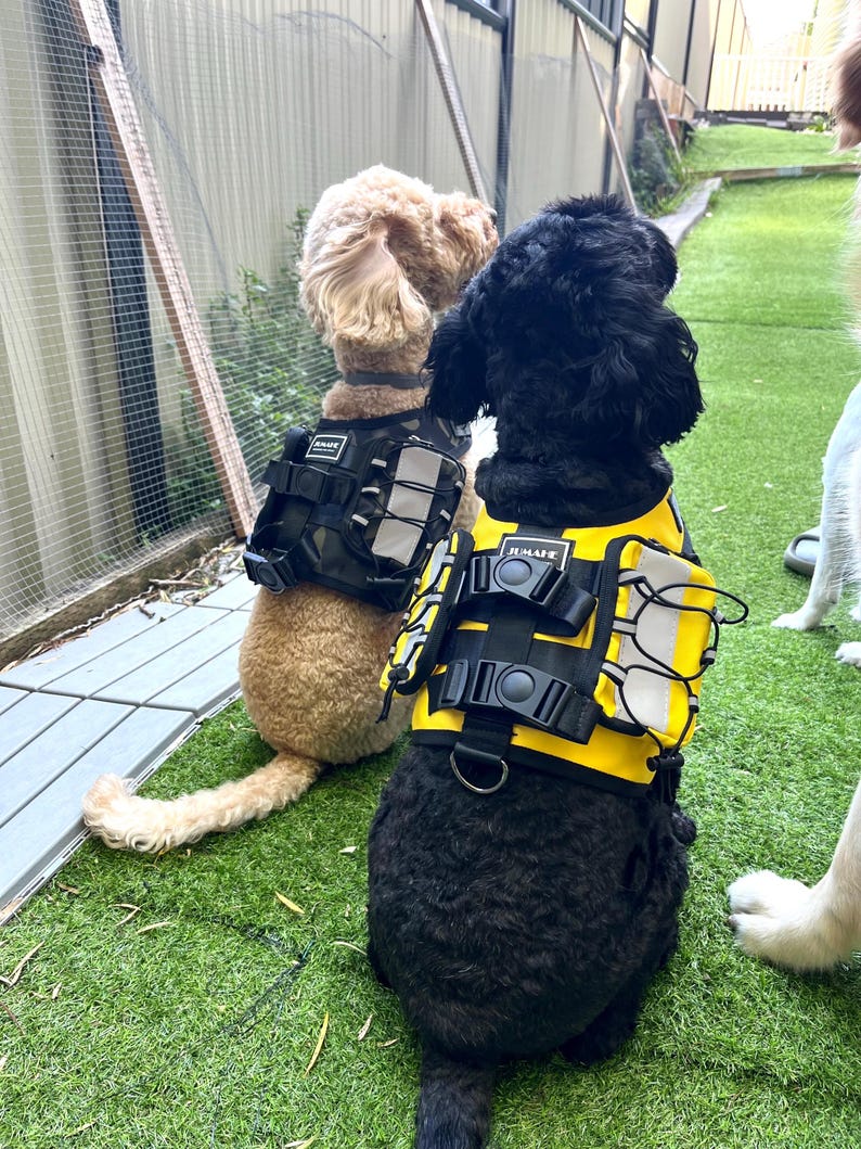Tactical Dog Harness with Backpack: No-Pull Adjustable Design
